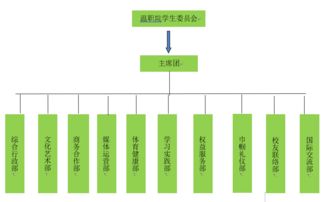 一封來自共青團的信 讓大學生活多姿多彩，溫職院十二大組織招新啟航